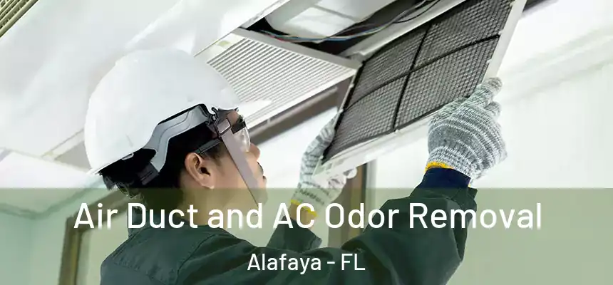  Air Duct and AC Odor Removal Alafaya - FL