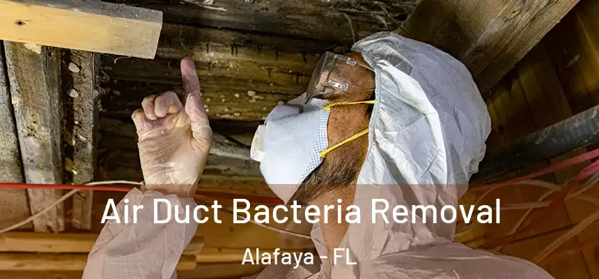 Air Duct Bacteria Removal Alafaya - FL