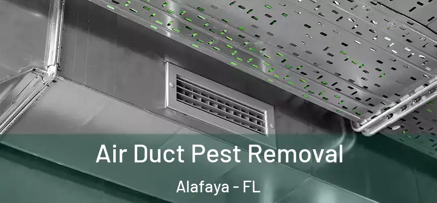  Air Duct Pest Removal Alafaya - FL