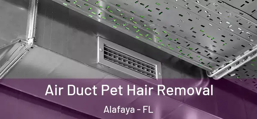 Air Duct Pet Hair Removal Alafaya - FL