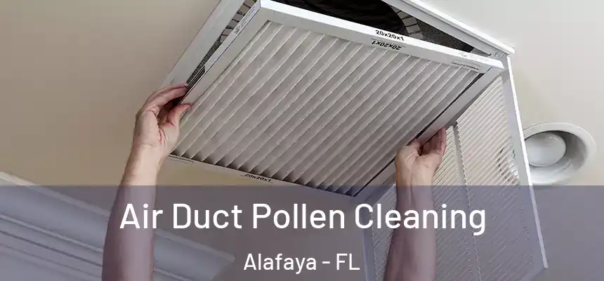 Air Duct Pollen Cleaning Alafaya - FL