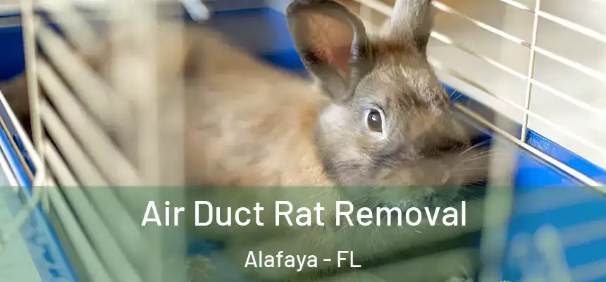 Air Duct Rat Removal Alafaya - FL