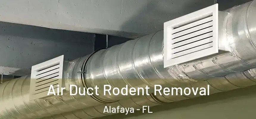  Air Duct Rodent Removal Alafaya - FL
