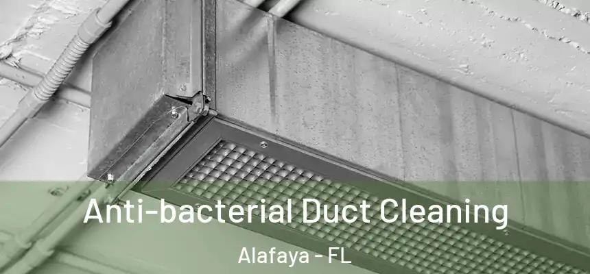 Anti-bacterial Duct Cleaning Alafaya - FL