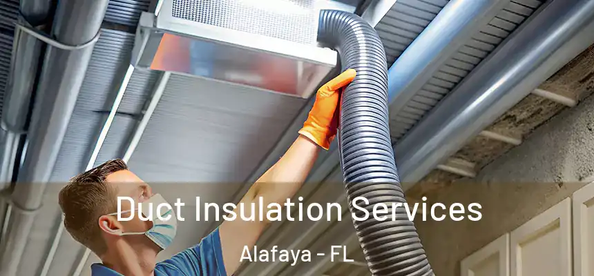 Duct Insulation Services Alafaya - FL