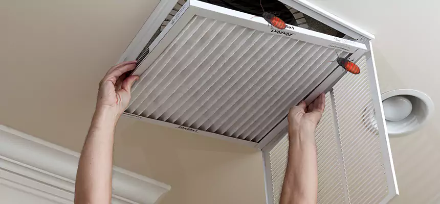Preventive Cockroach-Proofing for Ducts in Alafaya