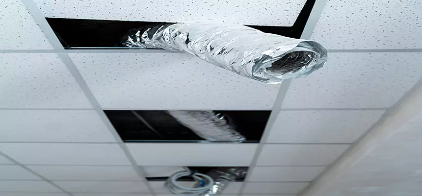 Our Air Duct Pet Hair Removal Services in Alafaya, FL