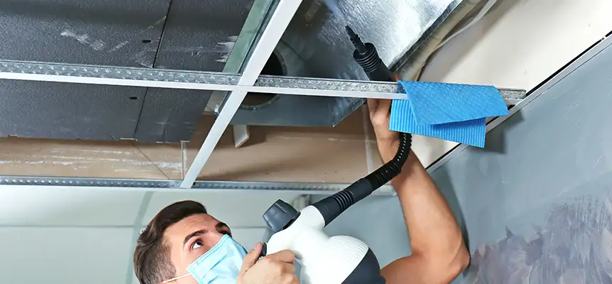 Our Air Duct Rodent Removal Services in Alafaya, FL