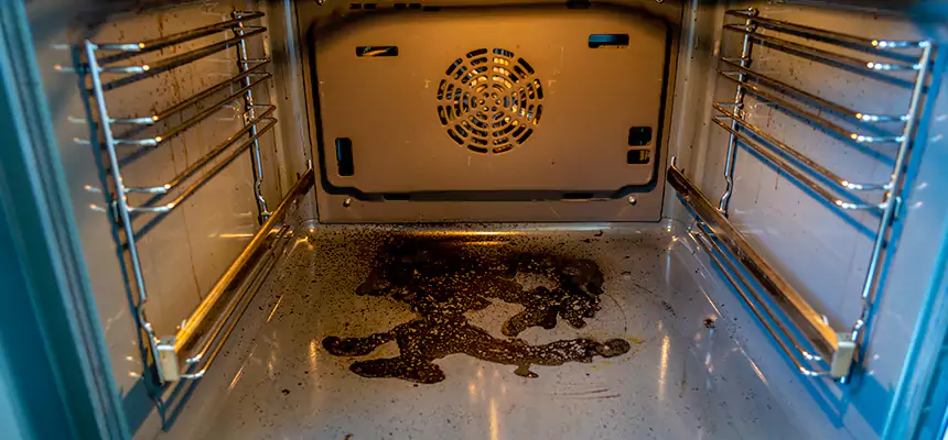 Our Dryer Vent Mold Cleaning Services in Alafaya, FL