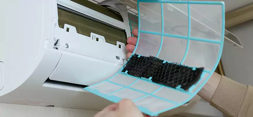 Gentle Ductwork Odor-Control Pet Dander Duct Cleaning in Alafaya, FL