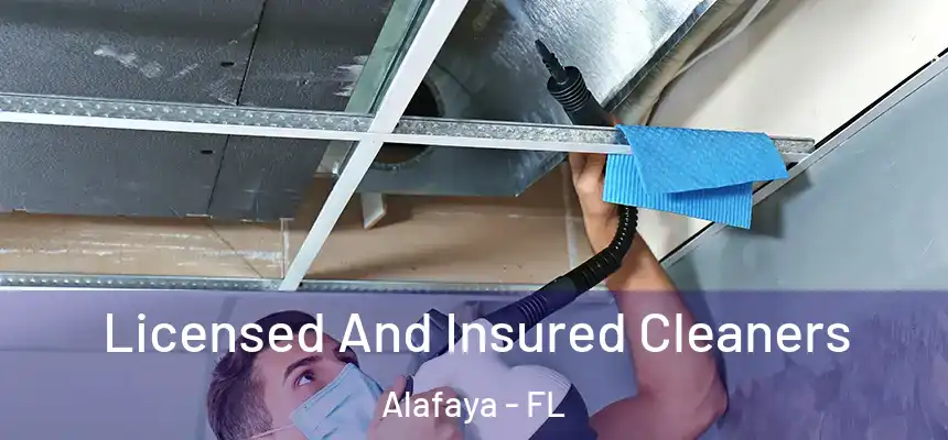  Licensed And Insured Cleaners Alafaya - FL