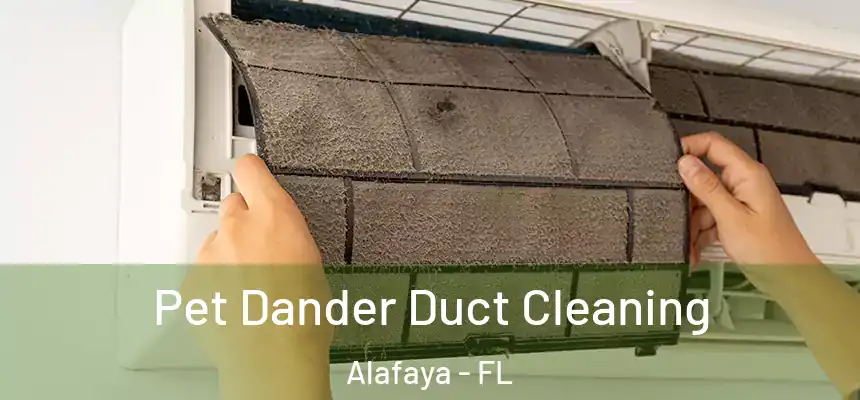 Pet Dander Duct Cleaning Alafaya - FL