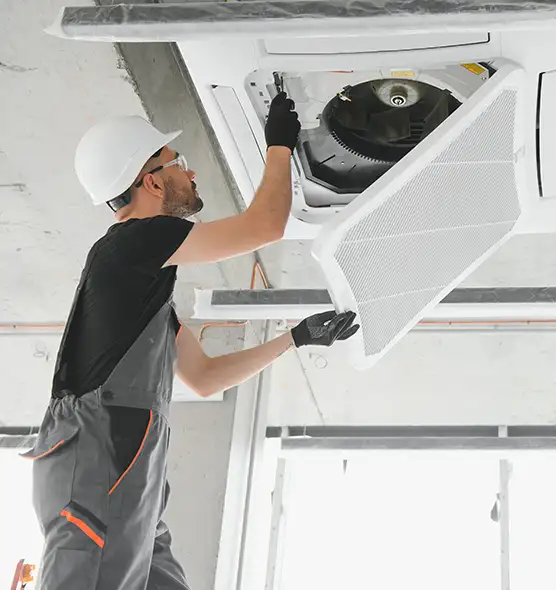 About Air Duct Rodent Removal in Alafaya, FL