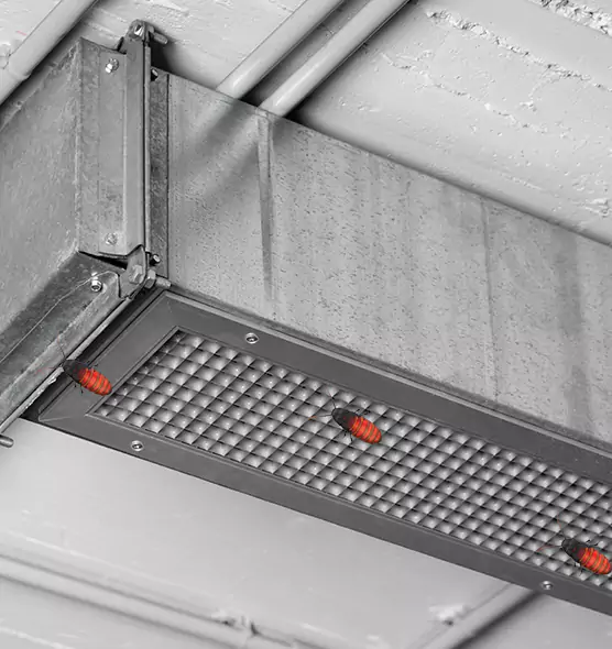 Affordable Insect Removal from Air Ducts in Alafaya, FL