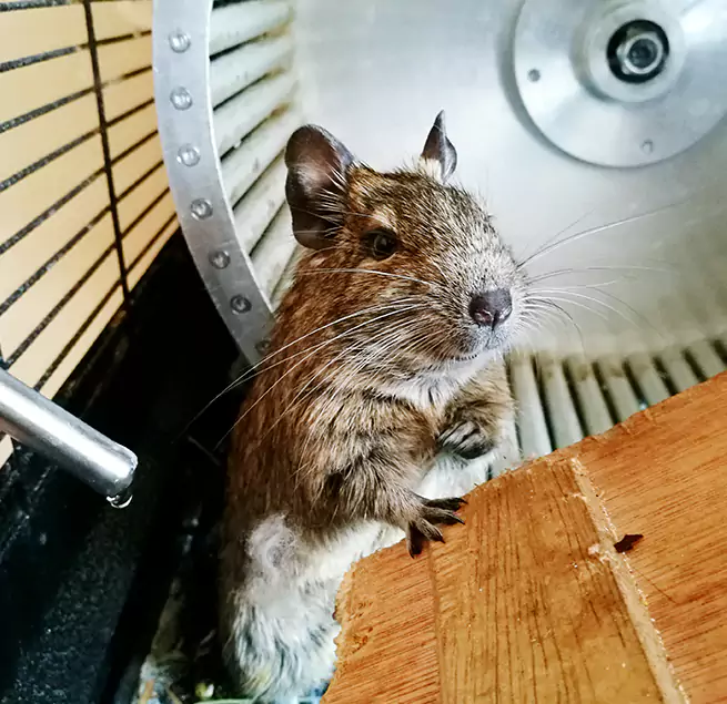 Why Homeowners & Businesses Trust Us Alafaya, FL