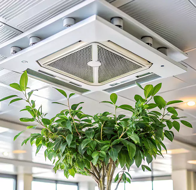 Why Homeowners & Businesses Trust Us in Alafaya, FL?