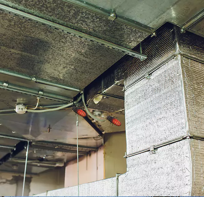 Why Homeowners & Businesses Trust Us Alafaya, FL?