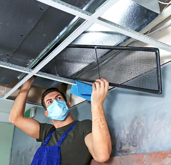 Why Homeowners Businesses Trust Us in Alafaya, FL?